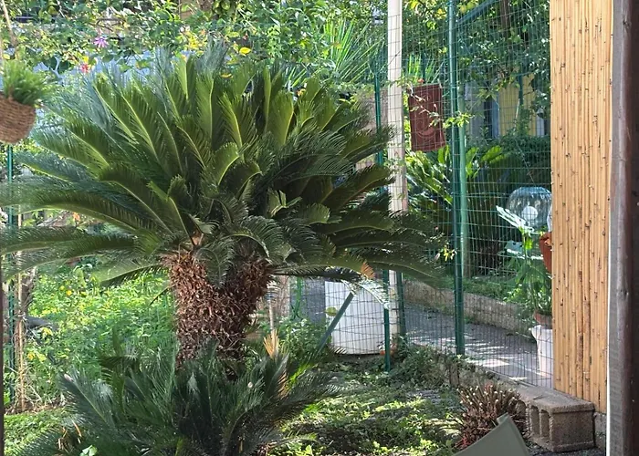 Nonna Alba Casa Bari