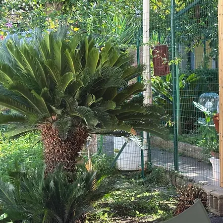 Nonna Alba Casa Valenzano